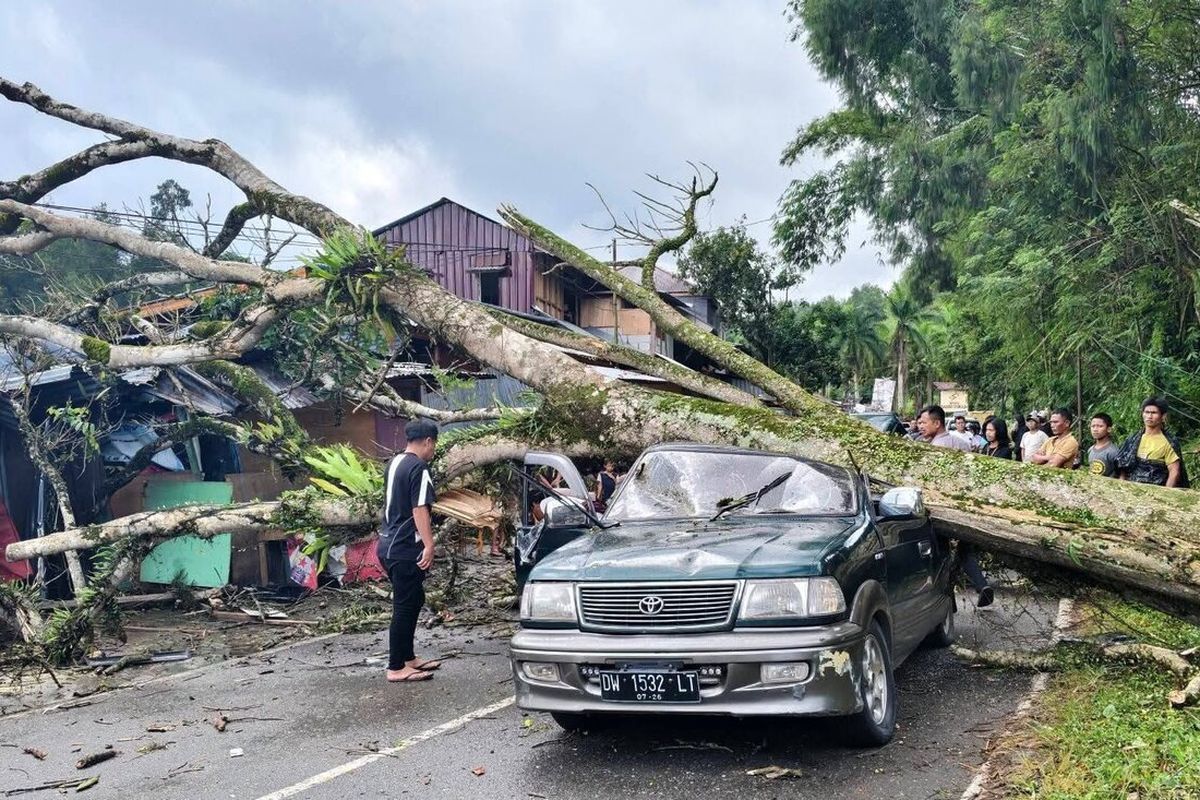 Toyota Kijang Krista gepeng, atap ambles nempel jok ditebas makhluk tinggi tua di Tana Toraja